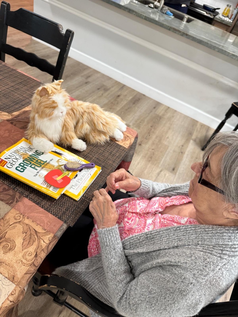 A resident with a therapy cat at The Gardens